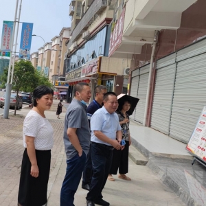 市政协副主席秦渊带队督导恩阳区创文工作
