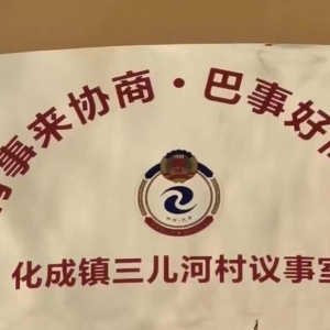 市政协副主席王家富带队赴巴州区化成镇开展调研