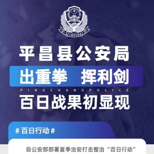 平昌县公安局出重拳 挥利剑 百日战果初显现