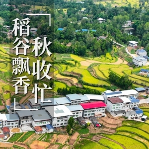 海报｜四川平昌秋收好“丰景”