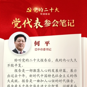 党代表参会笔记丨何平：推动老区人民与全国人民一道同步基本现代化