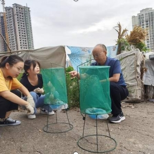 巴中市疾控中心完成家蝇抗药性监测试验