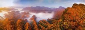快来报名！诗意山水·红色巴中——“寻找最美红叶”公益行志愿者招募开始啦~
