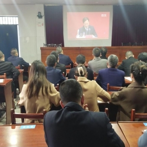 平昌县坦溪小学党支部：组织党员集中学习二十大报告