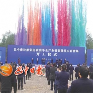 百亿级优质肉牛全产业链项目迈出第一步—— 全国最大“海福特”核心育种场在巴中开工