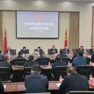 巴中市巴山肉牛产业发展全链模式交流会召开