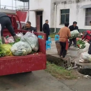 病毒无情 人间有爱：区司法局挂联脱贫村向城区临时社会面管控区域捐赠蔬菜