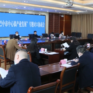 市政协召开“全市中心镇产业发展”专题对口协商会议