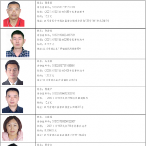 巴中公布一批失信被执行人名单，看看都有谁