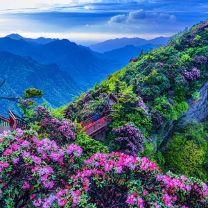 第十一届四川光雾山杜鹃花节开幕式举行