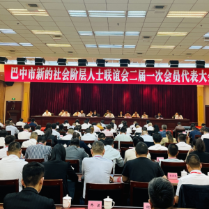 点亮新阶新光芒  凝心聚力谱新章——巴中市新的社会阶层人士联谊会换届大会暨二届一次会员代表大会成功召开