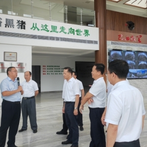 省就业局来巴调研就业创业工作