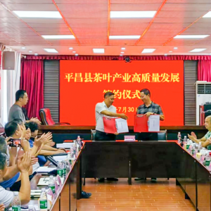 平昌邮政助力县茶叶产业高质量发展