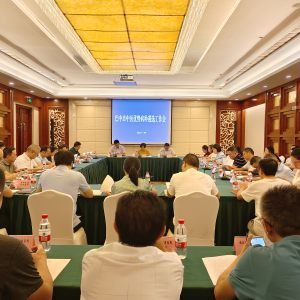 巴中市召开中医优势病种遴选工作会