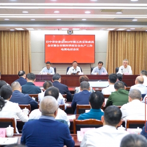 巴中市安委会2023年第五次全体成员会议暨全市第四季度安全生产工作电视电话会议召开
