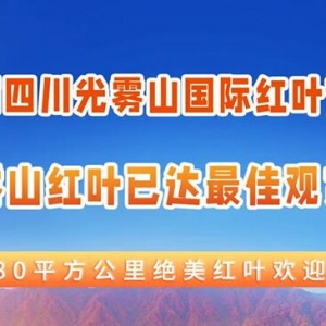 巴中光雾山红叶已达最佳观赏期！