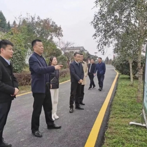 四川省林业和草原局调研巴中国家储备林项目建设工作