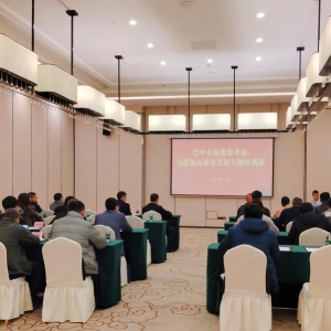 巴中市新能源革命与能源高质量发展专题培训班成功举办