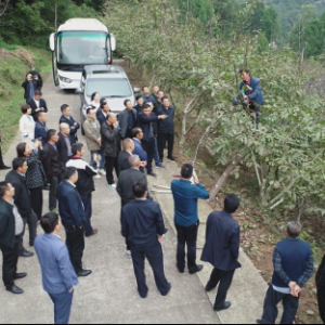 平昌：举办管理技术培训，助推核桃产业发展
