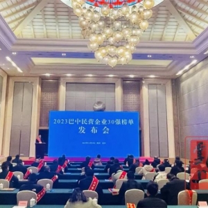 2023年巴中市民营企业30强发布