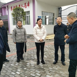 杜晓莉调研社会事业项目和粮食安全工作