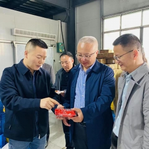 凝心铸魂强根基 团结奋进新征程丨巴中市科技局：多措并举推动主题教育走深走实