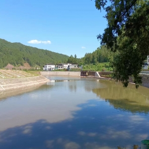 凝心铸魂强根基 团结奋进新征程丨通江县水利局以主题教育为切口推动农村饮水安全“大排查大整治”走深走实