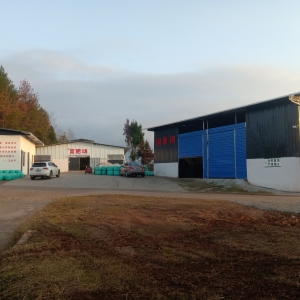 凝心铸魂强根基 团结奋进新征程丨平昌县得胜镇：以肉牛产业谋发展 为人民群众谋幸福