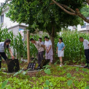 现场观摩学经验，互学互鉴提能力——市生态环境局组织召开全市农村生活污水治理现场观摩会