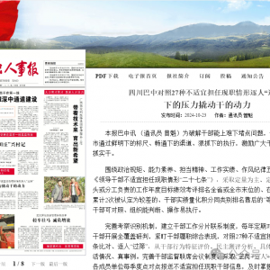 四川巴中对照27种不适宜担任现职情形逐人“过筛” 下的压力撬动干的动力