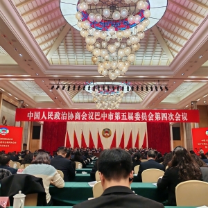 新阶“新”声|巴中市新的社会阶层人士在两会