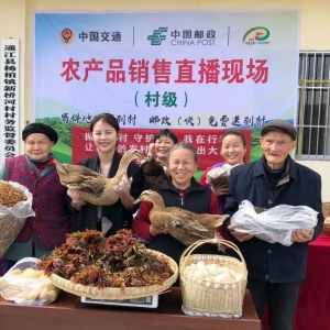 巴中邮政助力消费促进工作获通报表扬
