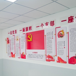 “医”心向党永忠诚 “护”佑健康践初心——通江县永安中心卫生院