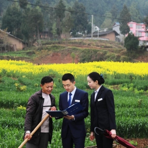 党建引领聚合力 奏响振兴最强音——巴中农商银行以金融之力赋能地方“三农”与乡村振兴