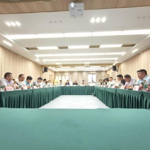 凝聚民企力量，共绘发展新蓝图——巴中市新联会民营和外资企业分会座谈交流活动成功举行