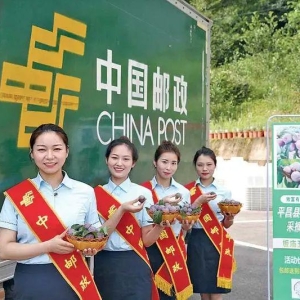 巴中邮政系统助力城市文明建设获表彰