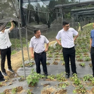 “巴山优才”特聘专家一线“把脉开方”   推动产学研深度融合