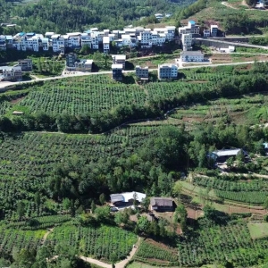 文旅康养胜地   产业富民强镇——平昌县镇龙镇