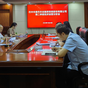 秦巴农担公司召开二季度经济运行分析会