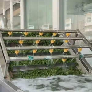 一颗青花椒何以“链”就千万产值?