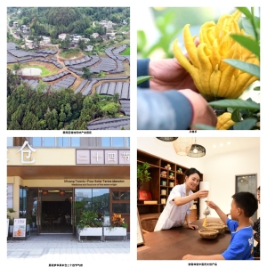 聚力医药健康产业  守护全民健康福祉 ——巴中市恩阳区卫生健康局