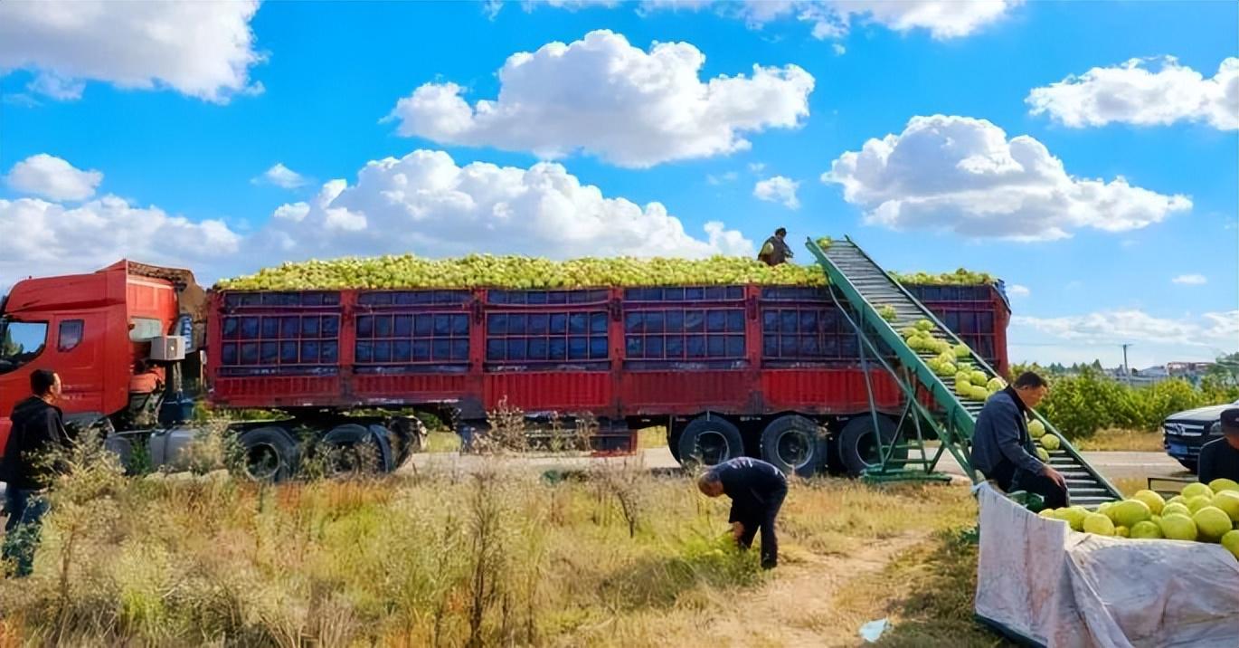 “巴中产”连续两年出口欧盟！“柚”大又甜→