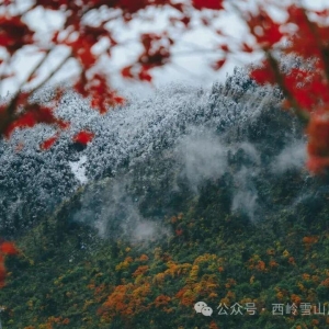 巴中娃首个“秋假”去哪儿？四川这些景区宣布免门票→