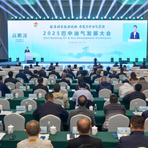 2025巴中油气发展大会召开