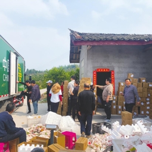 特写“双11” | 巴中邮政的“快”与“暖”