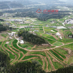 决胜“十四五” 巴州新跨越丨⑫金色田野三色辉 鼎山蓝图万象新