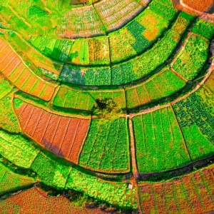 富了市民的“菜篮子”，鼓了村民的“钱袋子”