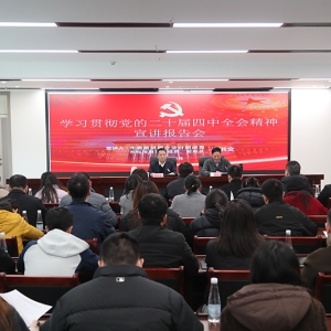 坚持学思用贯通知信行统一 推动党的二十届四中全会精神在集团落地见效