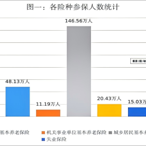 2025年度巴中市社会保险信息