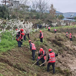 巴中以工代赈节后复工“加速度”